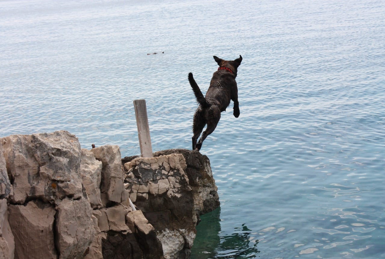 Entrepreneurship: Leap into self-employment - from idea to success