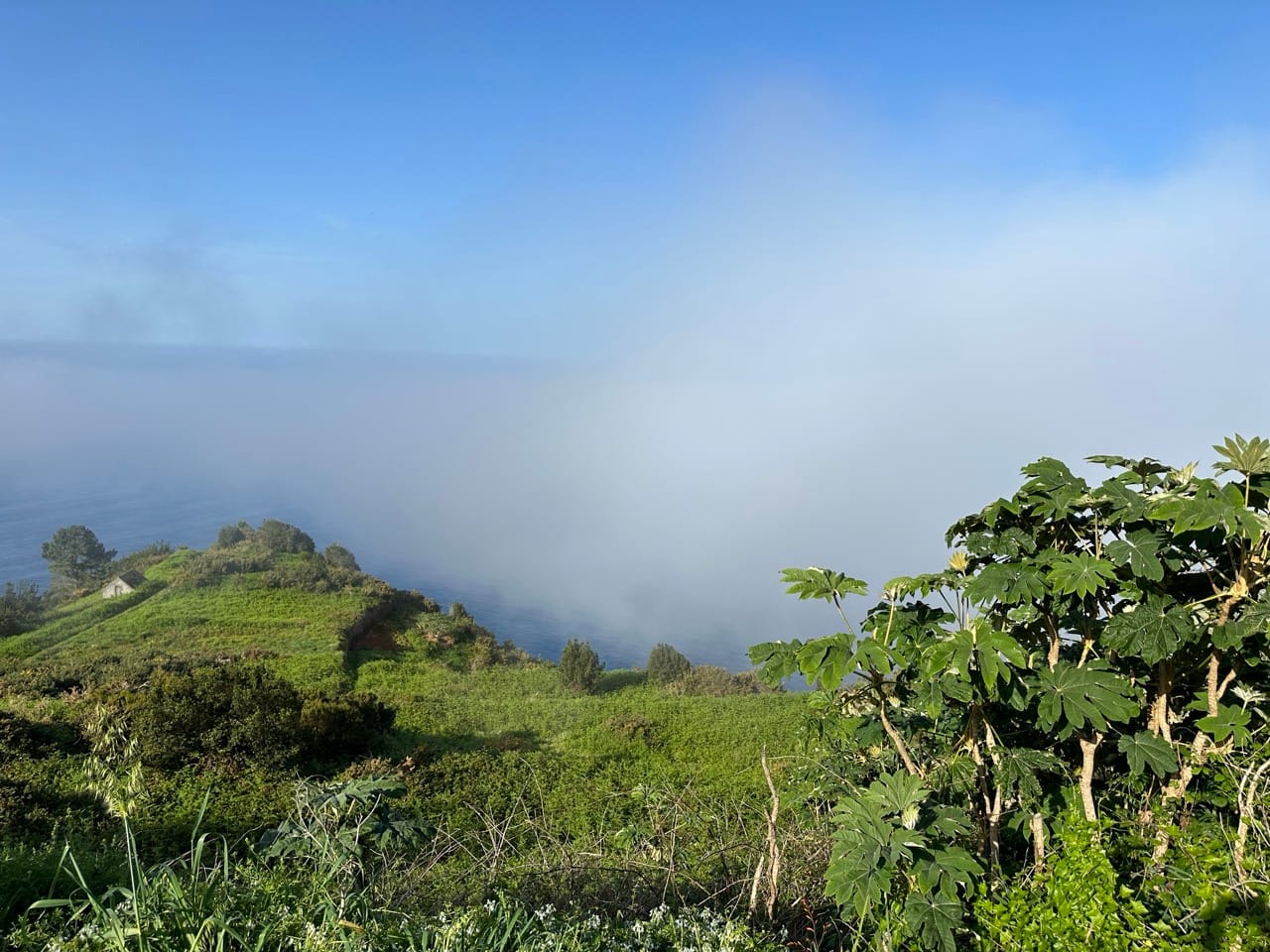 Wie du Veränderung erfolgreich umsetzt - Teil 2