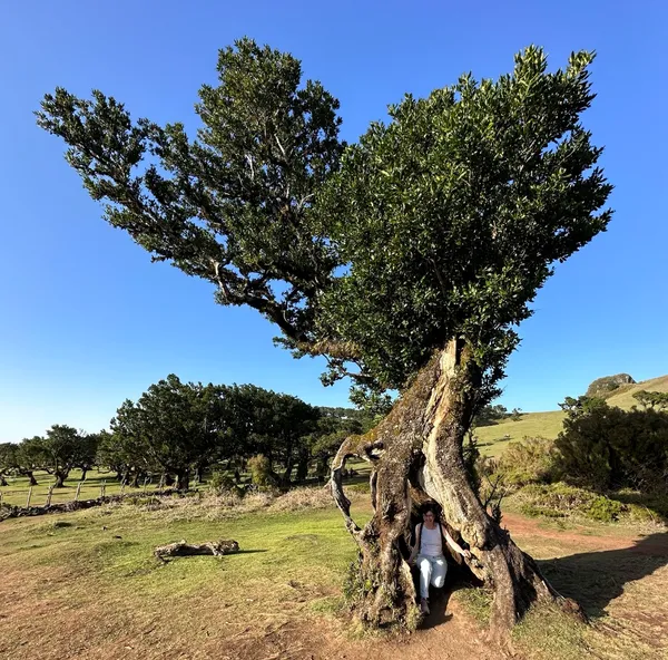 Wie du Veränderung erfolgreich umsetzt - Teil 1